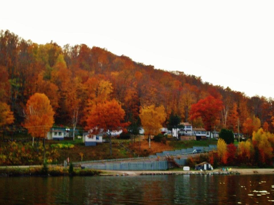 Silver Springs Cottage Resort Harcourt Luaran gambar